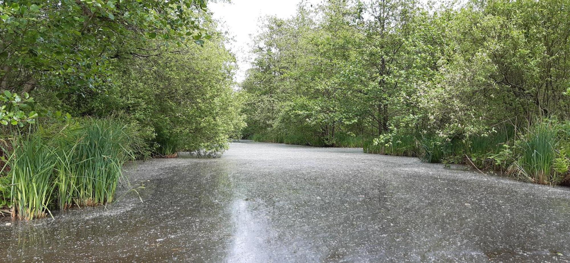 B&B De Zilverreiger Belt-Schutsloot Kültér fotó